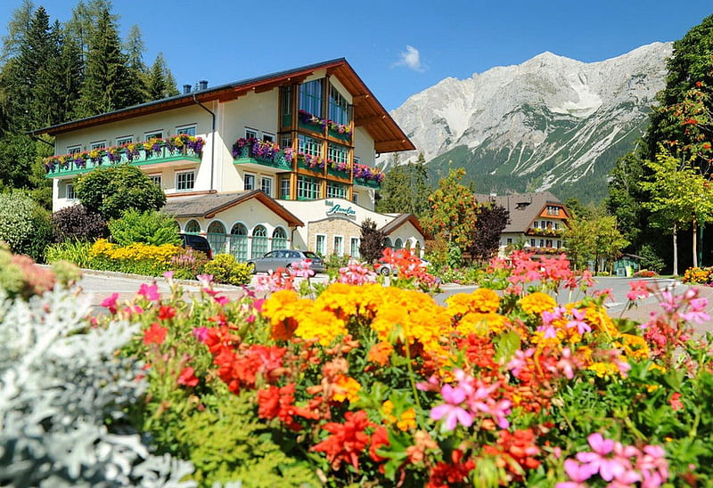 Hotel Annelies-Austria, pretty, Austria, Annelies, bonito, mountain, nice, peaks, flowers, hotel, rest, vacation, lovely, relan, sky, Europe, slope, summer, nature, HD wallpaper
