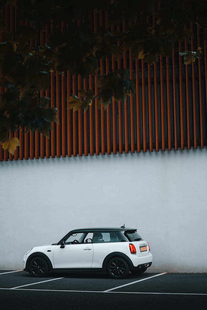 mini cooper, mini, car, white, side view, HD phone wallpaper