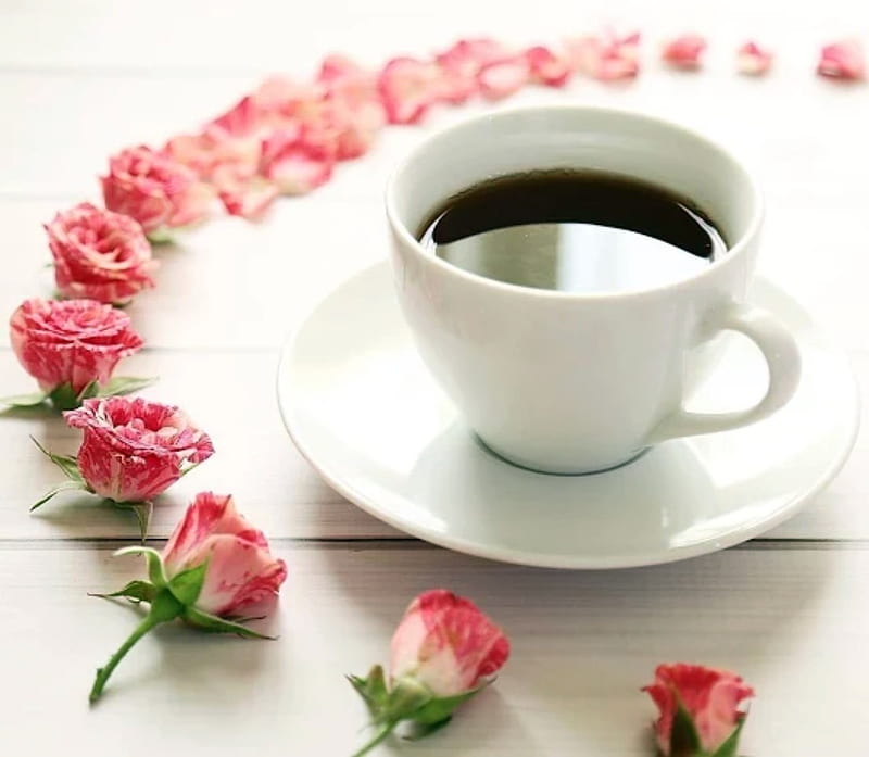 Coffee And Roses, Pink, Coffee, Roses, Flowers, Nature, HD wallpaper ...