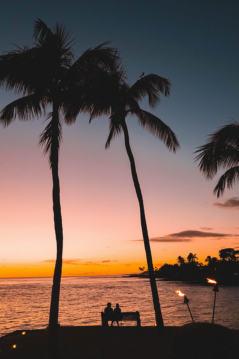 silhouettes, palm trees, sunset, tropics, romance, HD phone wallpaper