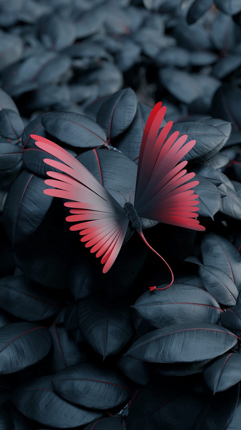 Red Butterfly , contrast, wings, leaves, dark, HD phone wallpaper