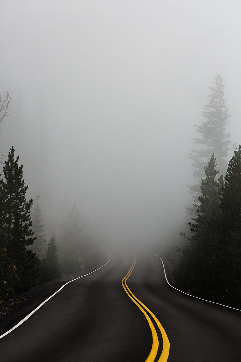 nature, road, trees, smoke, mist, HD phone wallpaper