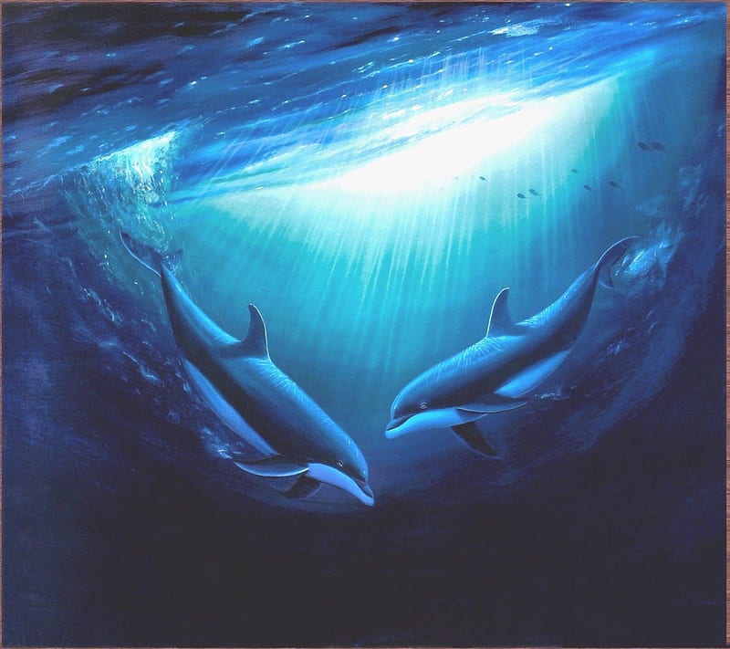 Seaworld, underwater, HD wallpaper