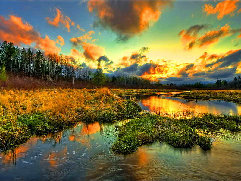 Beautiful colors of sunset, bonito, sunset, clouds, sundown, nice, forest, lovely, golden, colors, sky, trees, lake, pond, fire, water, nature, end of the day, HD wallpaper