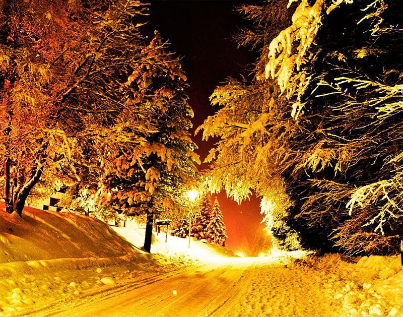 Winter Snow Trees Roads, roads, snow, trees, lamp posts, winter, HD wallpaper