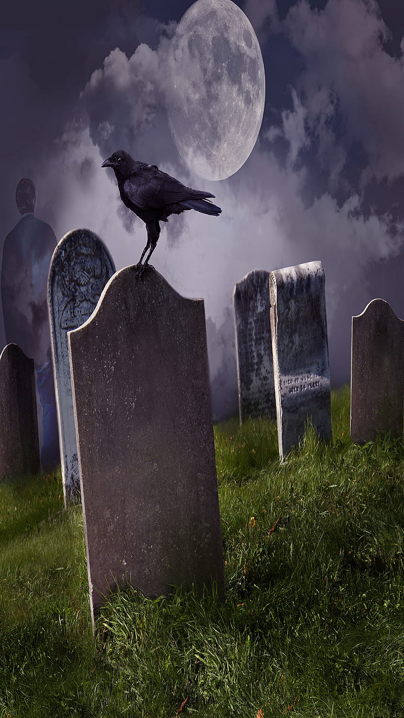 crow cemetery, halloween, HD phone wallpaper