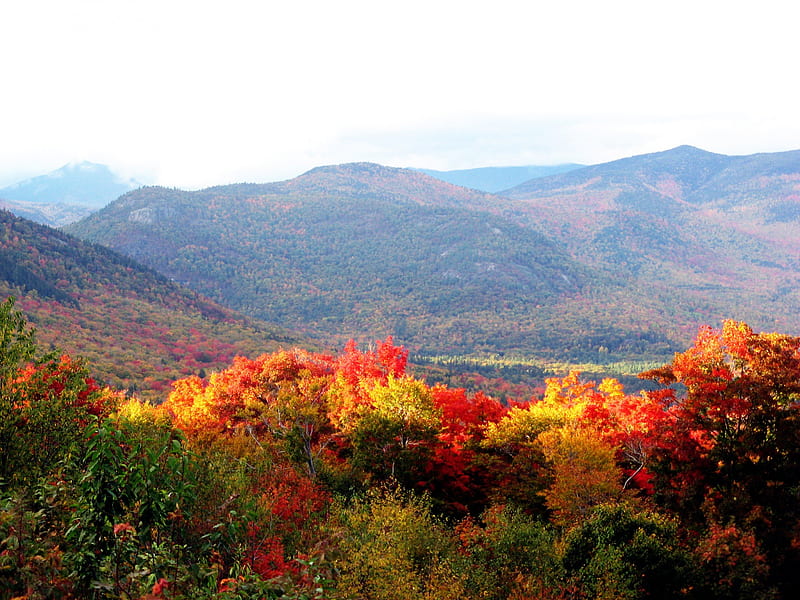 Indian Summer at New Hampshire, red, leaves, yellow, colors, trees, mist, HD wallpaper