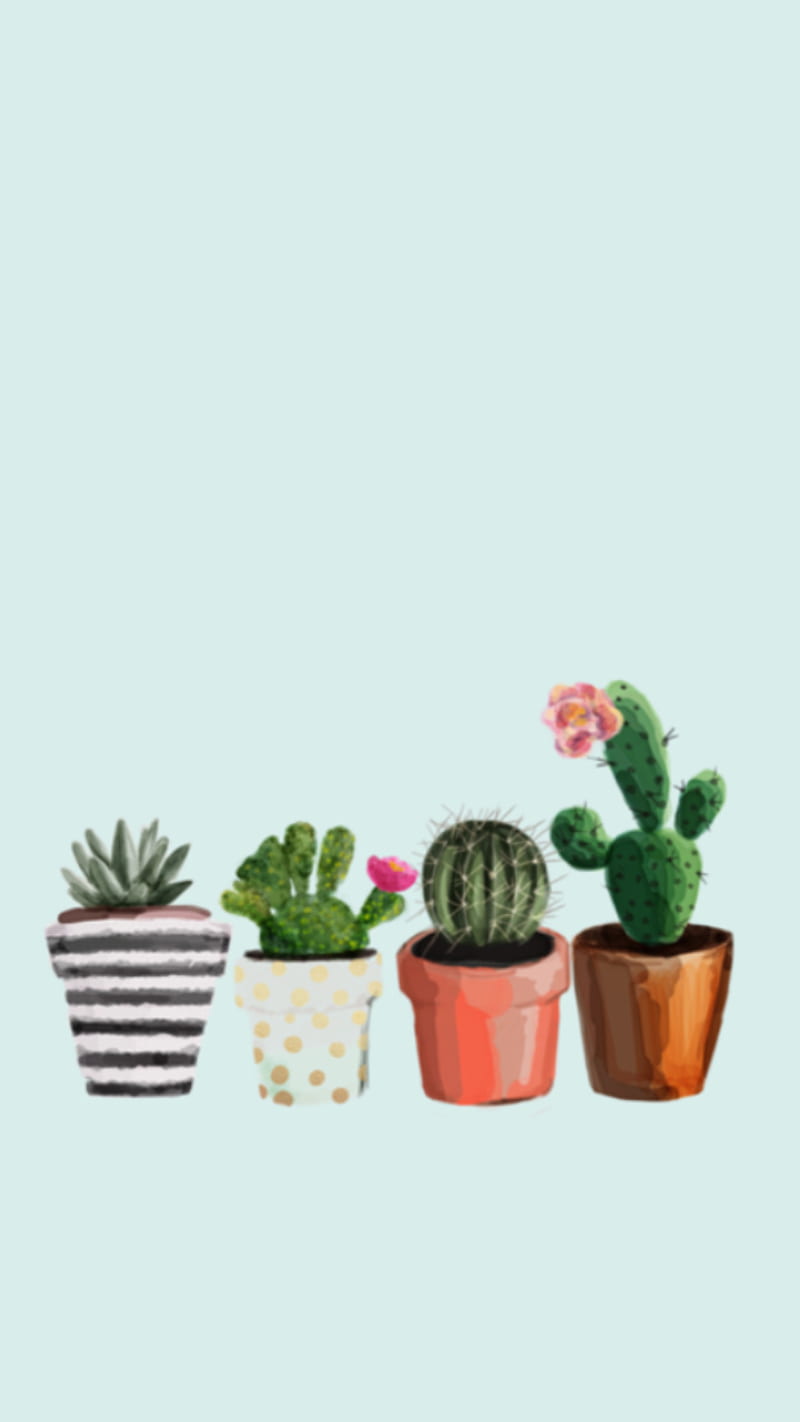 Kawaii Baby Cacti: 4K Wallpaper for PC