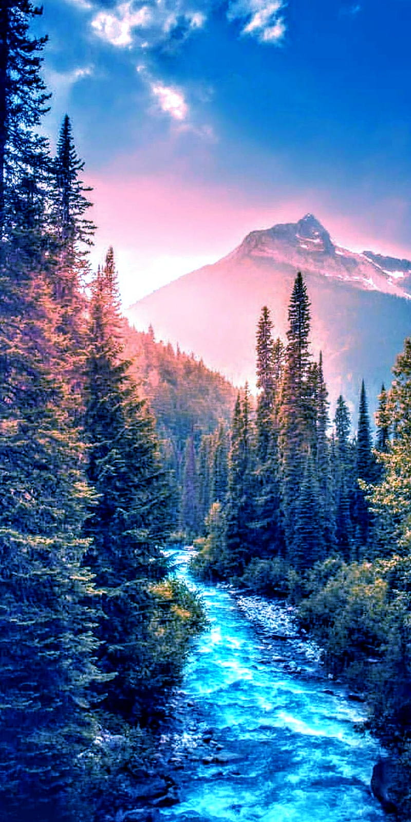 Nature, forest, autumn, landscapes, HD phone wallpaper
