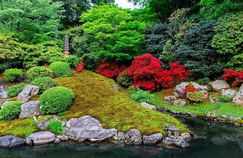 Beautiful park, pond, greenery, summer, garden, bonito, park, trees, HD ...