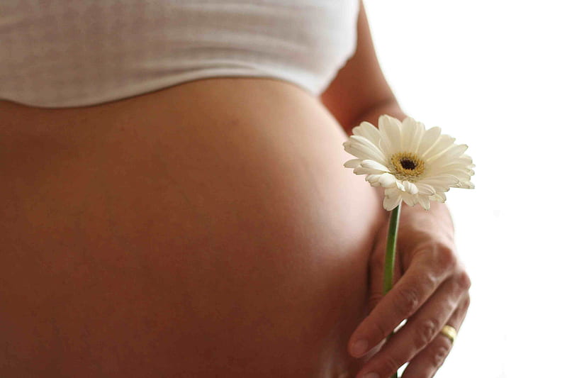 pregnant woman, flower, pregnant, woman, baby, HD wallpaper