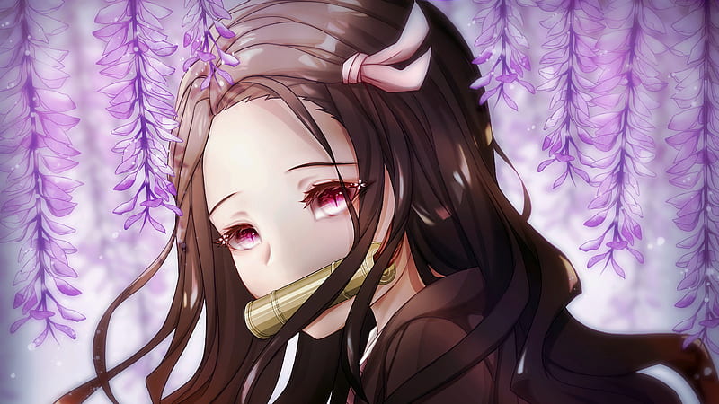 Demon Slayer Long Hair Nezuko Kamado With Backgorund Of Purple Flowers Anime, HD wallpaper