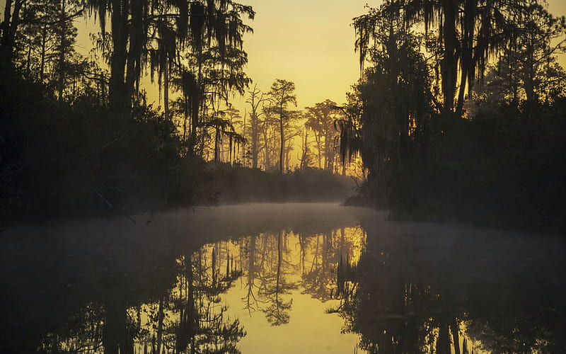 The sunrise over the Suwannee Canal inside the Okefenokee National Wildlife Refuge in Georgia, mist, water, usa, river, reflections, trees, landscape, HD wallpaper