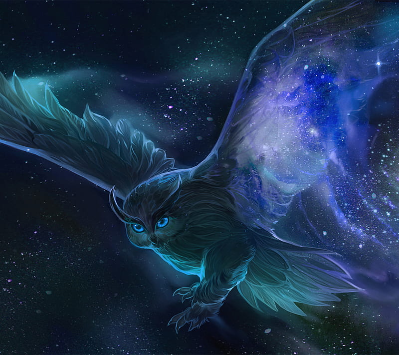 Owl, bird, blue, night, HD wallpaper