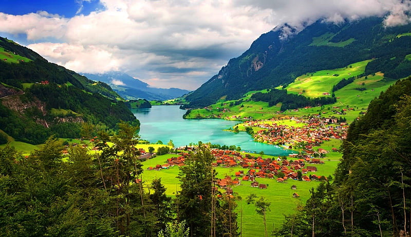 Fribourg, Switzerland, pretty, shore, grass, Switzerland, bonito ...