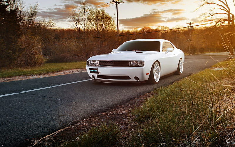 White Muscle Car, muscle-car, carros, white, HD wallpaper