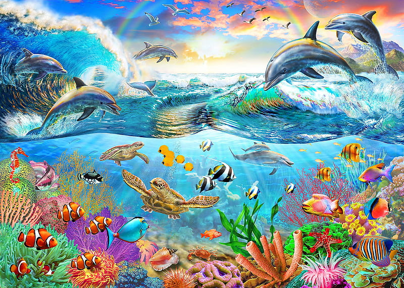 Sealife, vara, water, fantasy, dolphin, luminos, fish, adrian chesterman, summer, HD wallpaper