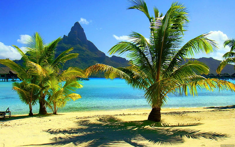 Bora Bora, shore, shade, travel, bonito, clouds, sea, palm trees, beach, mountain, nice, rest, vacation, exotic, lovely, holiday, ocean, relax, sky, palms, water, summer, island, sands, HD wallpaper