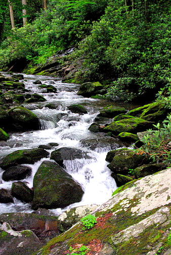River, stream, stones, moss, landscape, HD phone wallpaper | Peakpx