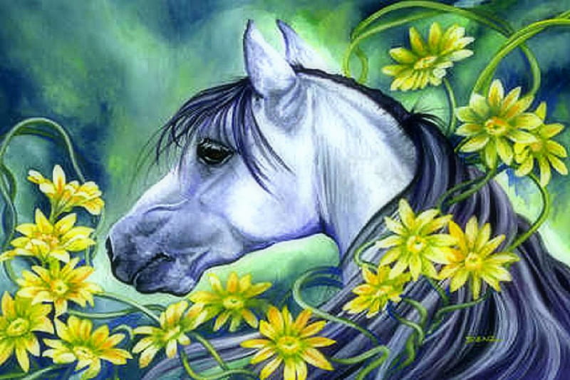 ✫Cool Sarah Horse✫, softness beauty, attractions in dreams, bonito, digital art, sweet, paintings, flowers, lovely flowers, drawings, animals, love four seasons, running wild, creative pre-made, horses, plants, weird things people wear, beloved valentines, HD wallpaper