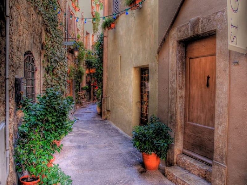 Labyrinthe, doors, HD wallpaper