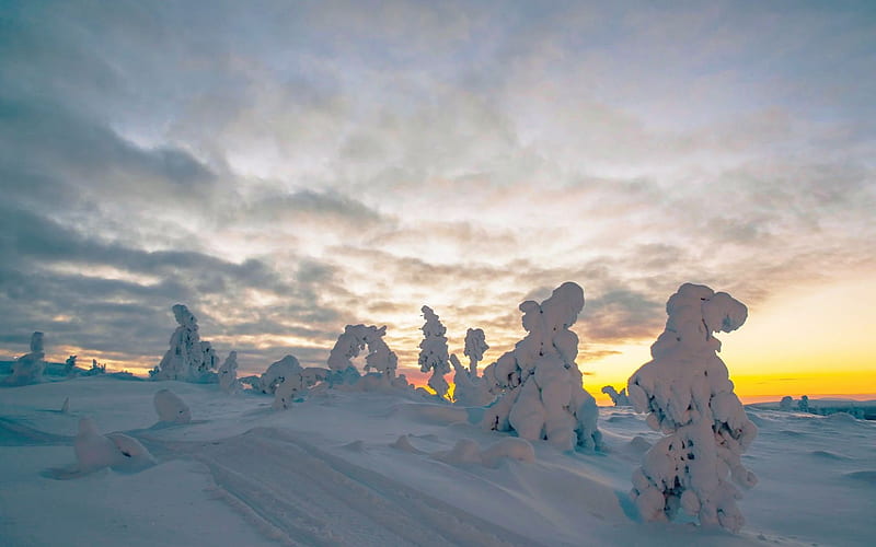 Noon at Levi Fell in Kittila, Finnish Lapland, sky, snow, trees, sunlight, clouds, HD wallpaper