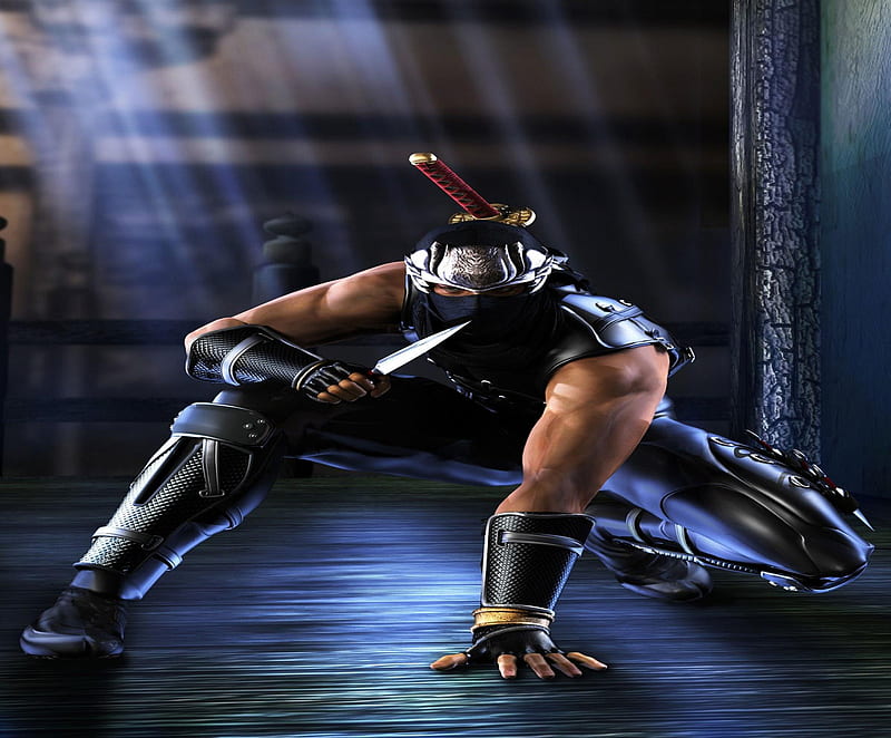 Ryu Hayabusa, ninja gaiden, knives, video games, ryu, crouching, weapons, gloves, mask, sword, daggers, ninja, HD wallpaper