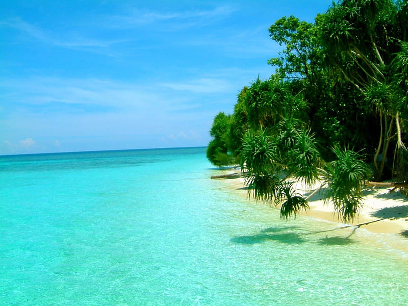 Lankayan Island, Malaysia, turquoise water, bonito, palm trees, sea, beach, sand, vacations, blue sky, island, tropical, paradisiac, HD wallpaper
