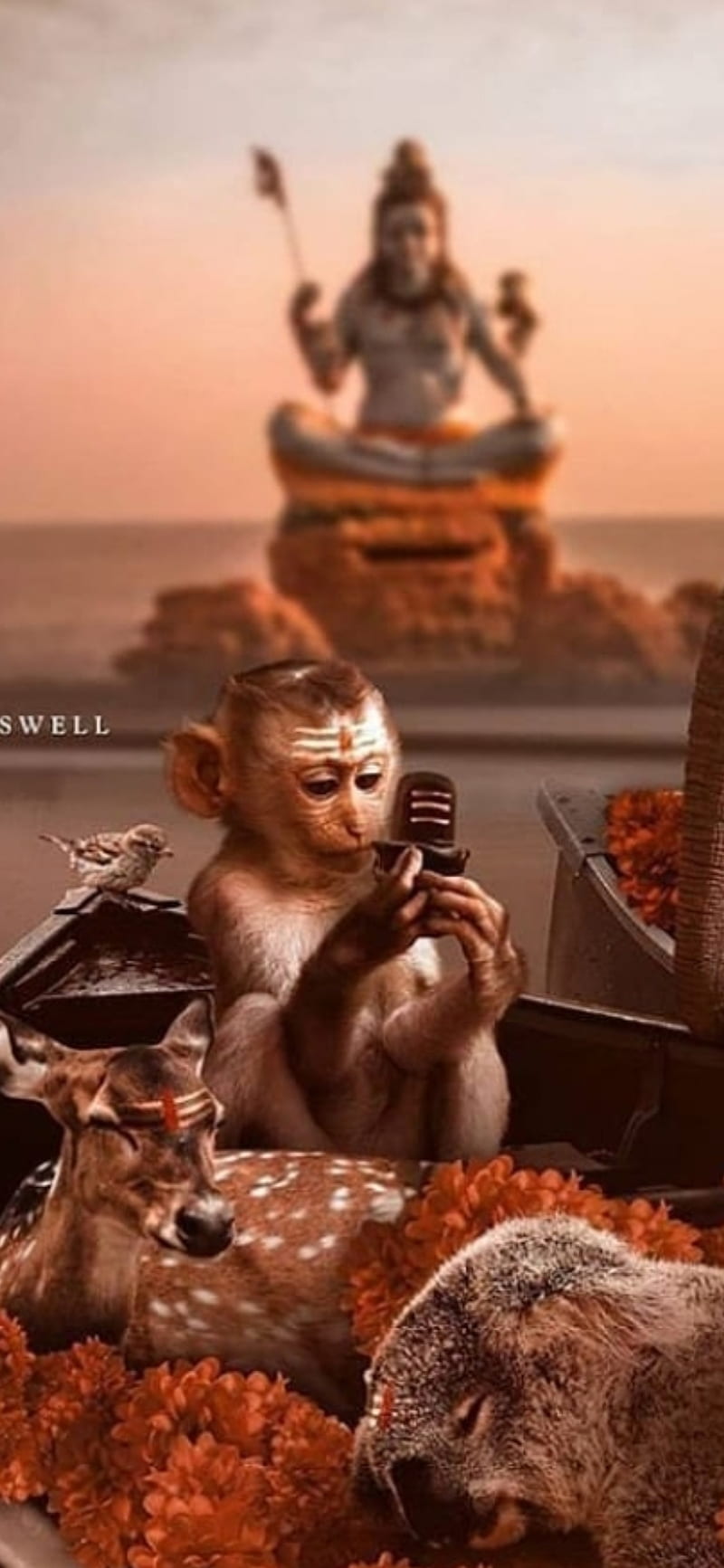Hanuman, back, god, life, lord, monkey king, symbols, HD phone wallpaper