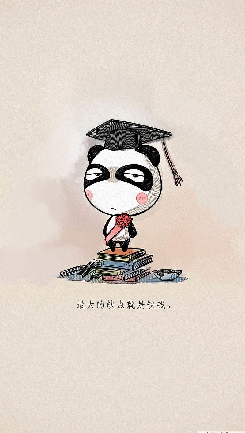 Graduate Panda, hjsret, jdrty, HD phone wallpaper