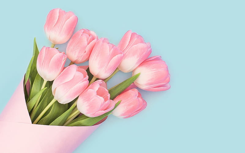 Tulipanes rosados, flores de primavera, primavera, ramo de tulipanes, Fondo  de pantalla HD | Peakpx