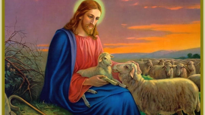 Jesus With Lamb In Lap Jesus, HD wallpaper