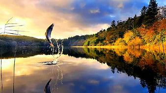 HD fishing in the lake wallpapers