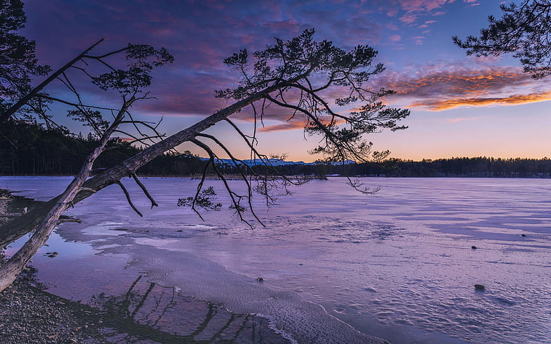 Bavarian Lake, Germany, winter, snow, ice, sunset, clouds, trees, sky, HD wallpaper