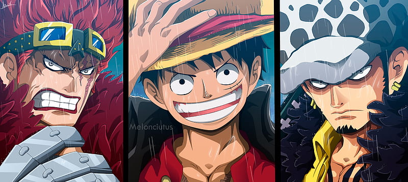 One Piece, Eustass Kid, Monkey D. Luffy, Trafalgar Law, HD wallpaper