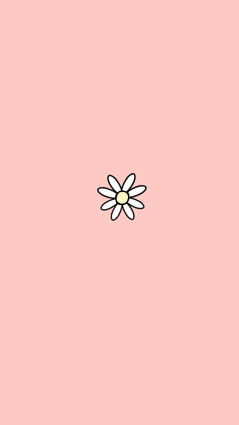 Flower, pink, HD mobile wallpaper | Peakpx