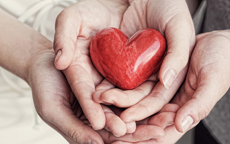 family, I love my family, red heart in my hands, parents, cardiology, hands, heart, HD wallpaper