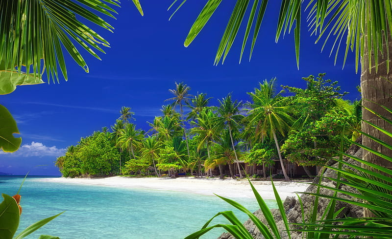 Maldives, rest, vacation, exotic, ocean, breeze, sky, palms, sea, beach, water, paradise, island, tropics, HD wallpaper