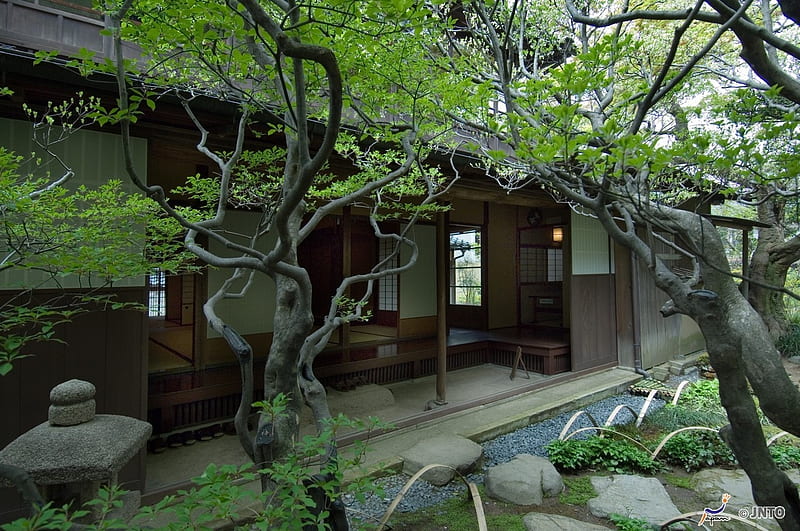 Tea House, japan, house, japanese, kyoto, indoor, garden, HD wallpaper
