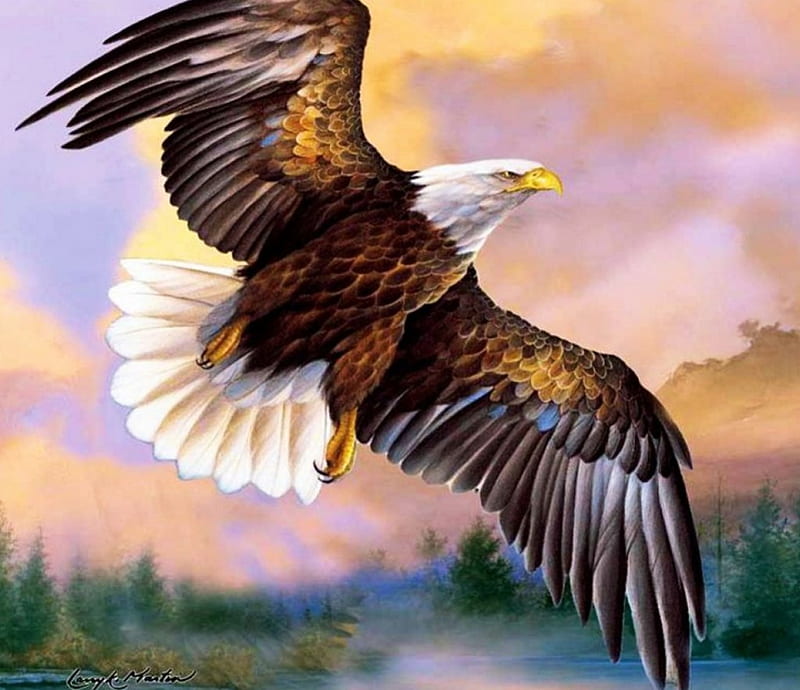 God Shed His Grace, birs, wings, bald eagle, painting, raptor, artwork, Eagle, HD wallpaper