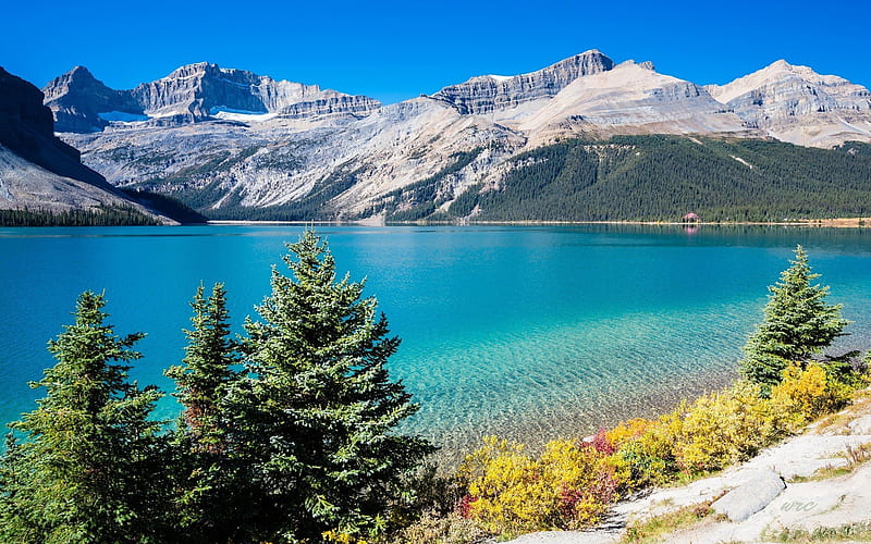 spring, lake, mountains, mountain landscape, blue lake, tree, HD wallpaper