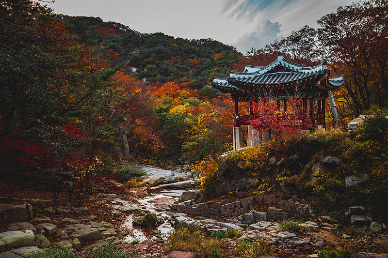 pagoda, garden, trees, autumn, HD wallpaper