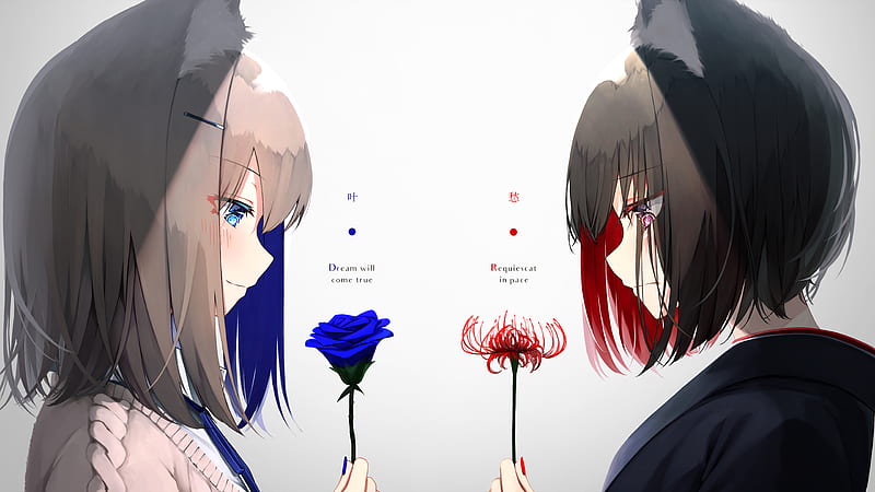 Anime, Original, Animal Ears, Black Hair, Blue Eyes, Blue Rose, Red Eyes, Red Flower, Short Hair, HD wallpaper