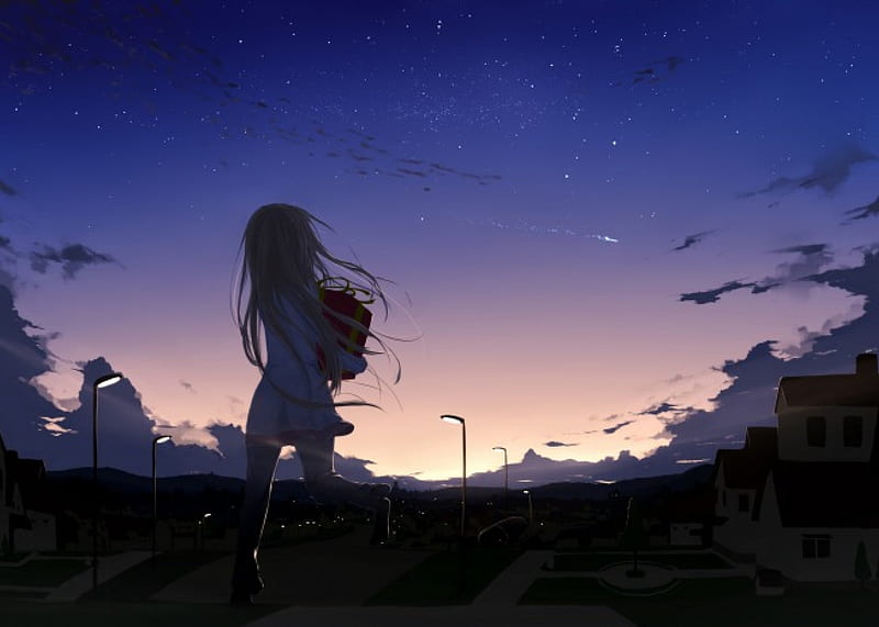 Shooting Star, Stars, Sky, Anime, Star, City, Long Hair, Original, Anime Girl, Night, HD wallpaper