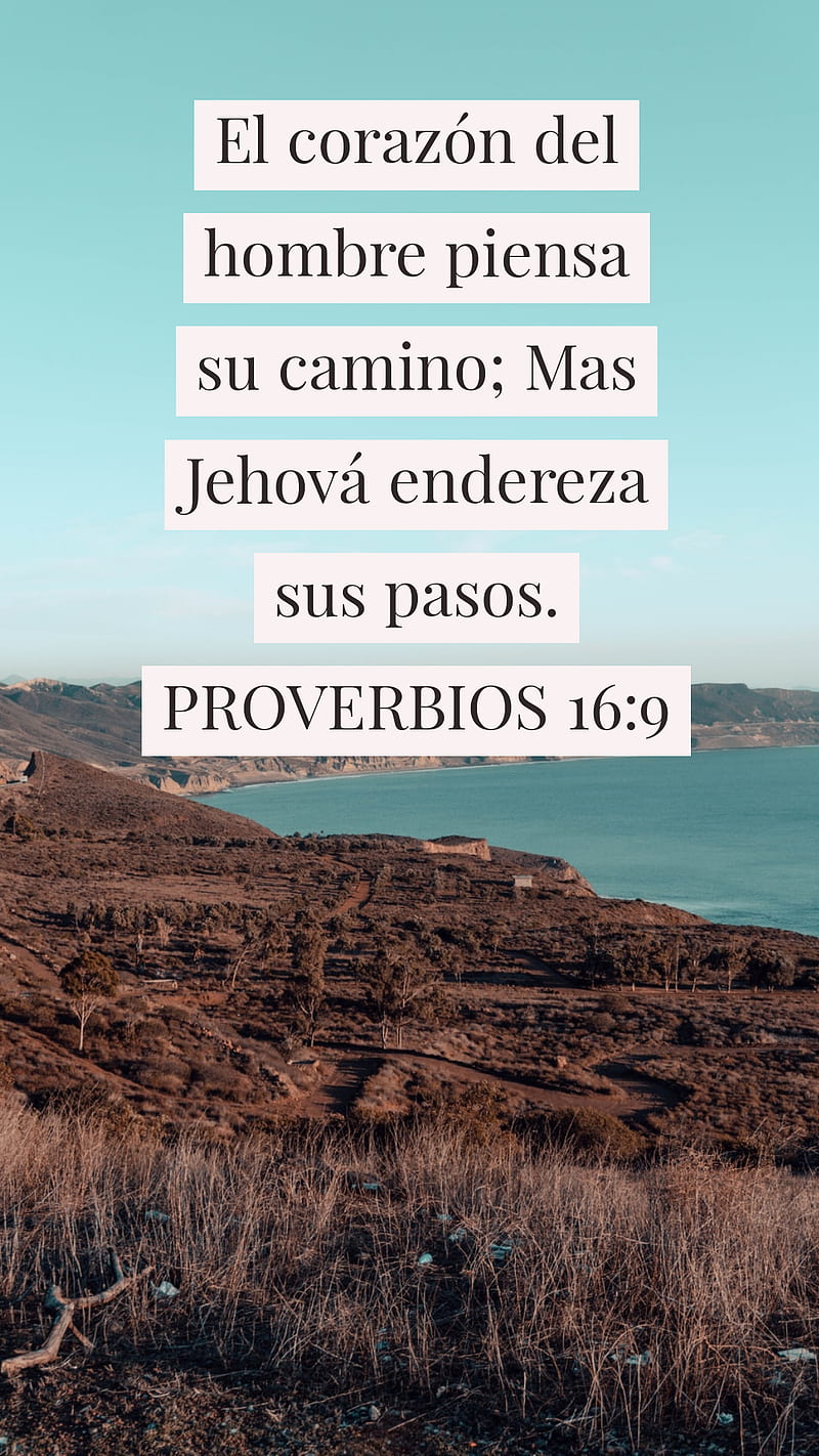Proverbios 16 9, biblia, cielo, dios, jesucristo, Fondo de pantalla de  teléfono HD | Peakpx