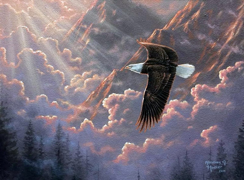 Majestic Eagle, sunrays, bald eagle, painting, clouds, sky, artwork, firs, HD wallpaper