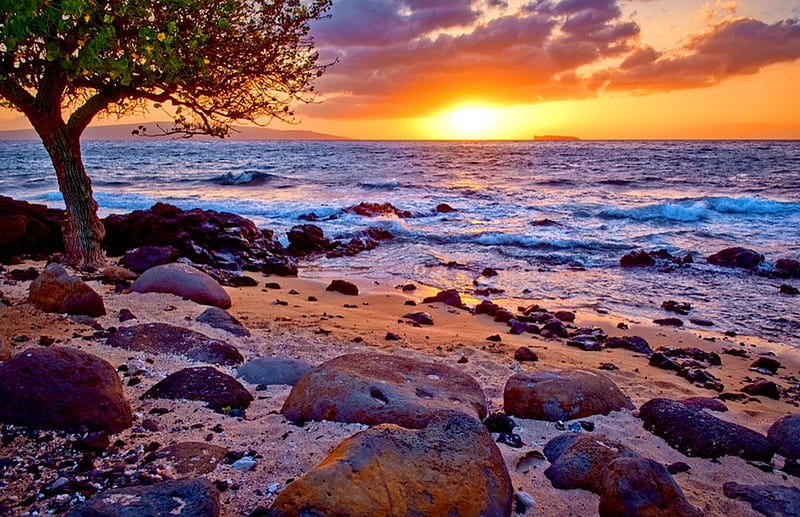 Hawaiian sunset, rocks, pretty, glow, shore, bonito, sunset, clouds, sea, beach, sundown, nice, stones, sunrise, reflection, tropics, exotic, lovely, ocean, waves, sky, tree, water, rays, summer, nature, tropical, sands, HD wallpaper