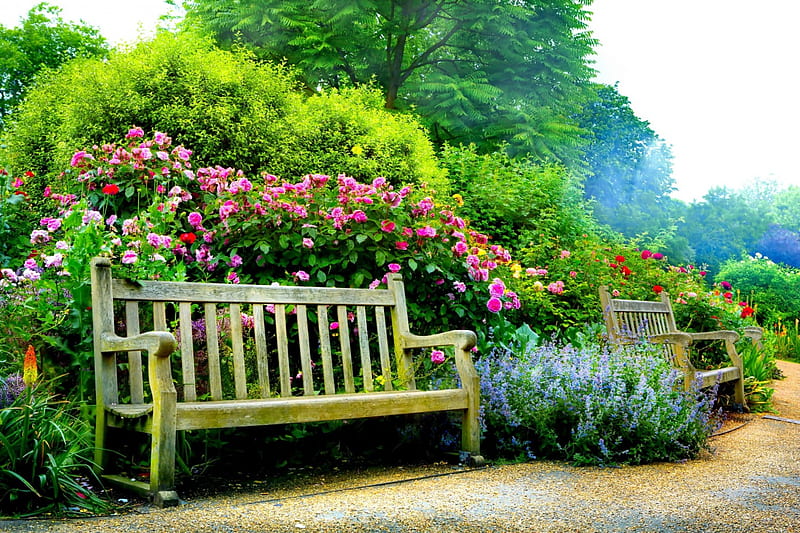 Garden bench, pretty, rest, lovely, relax, bench, bonito, spring, park, roses, trees, plants, summer, flowers, garden, HD wallpaper