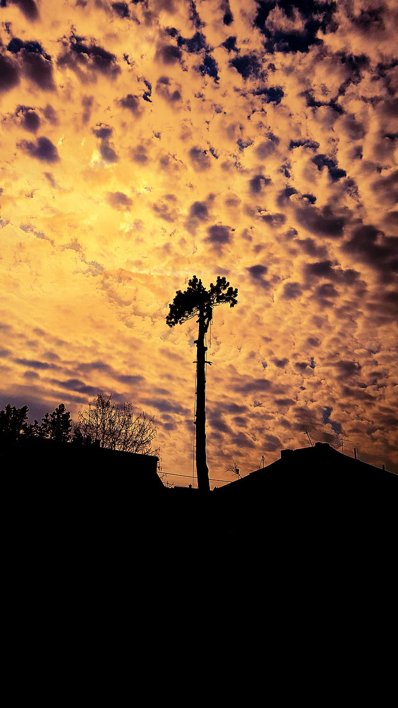 morning, clouds, sky, dark, HD phone wallpaper