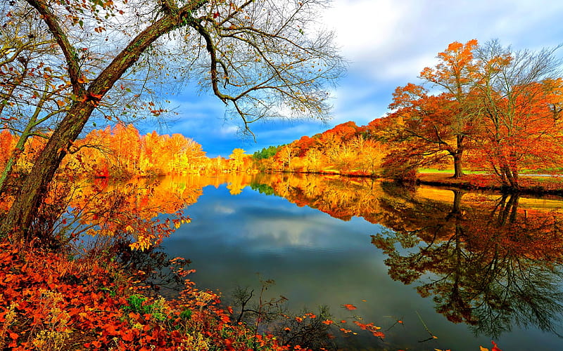 Autumn Reflection, shore, riverbank, falling, autumn leaves, clouds ...